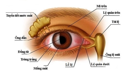 Thông tuyến lệ cho người lớn | Bệnh viện Mắt Miền Đông