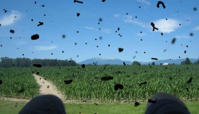 Vẩn Đục Dịch Kính: Triệu Chứng, Nguyên Nhân và Cách Điều Trị